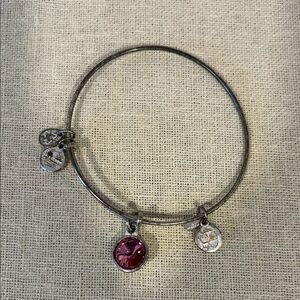 Alex and Ani Silver Bracelet with Pink Charm